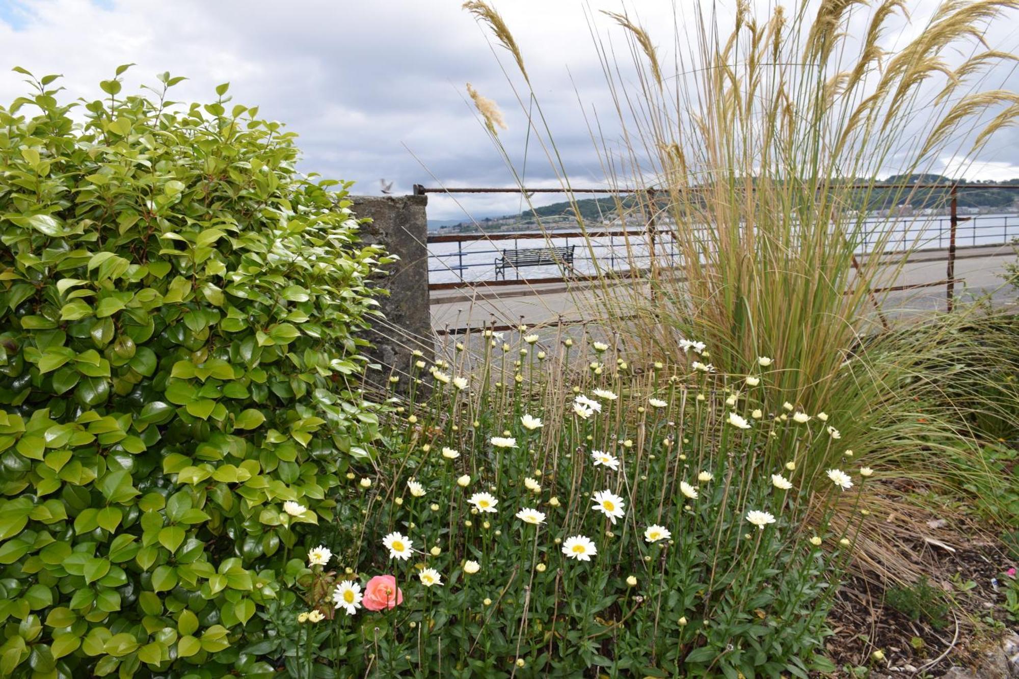 One Marine Place Port Bannatyne エクステリア 写真
